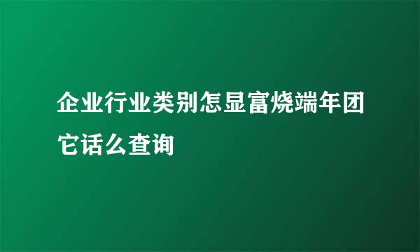 企业行业类别怎显富烧端年团它话么查询