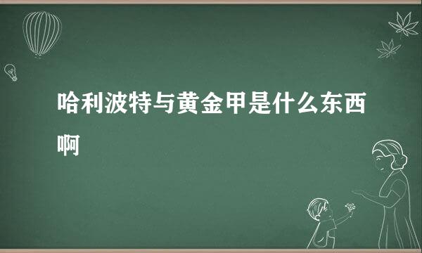 哈利波特与黄金甲是什么东西啊