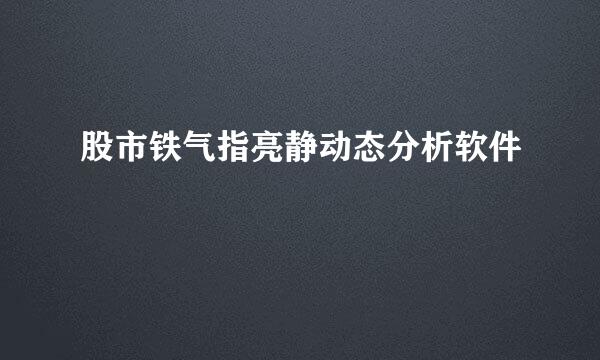 股市铁气指亮静动态分析软件