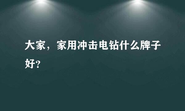 大家，家用冲击电钻什么牌子好？