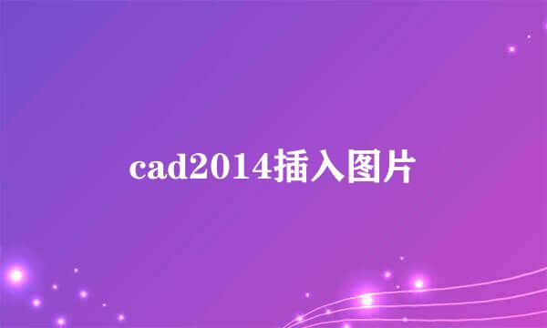 cad2014插入图片