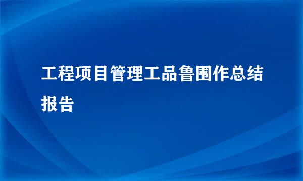 工程项目管理工品鲁围作总结报告