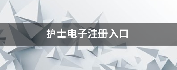 护士电子让资高坚飞图维言挥注册入口