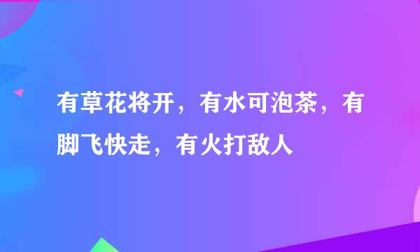 有草花将开，有水可泡茶，有脚飞快走，有火打敌人