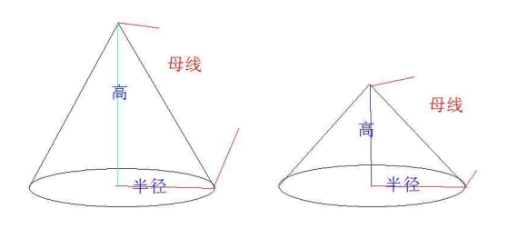 母线的定义是什么？