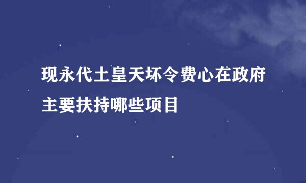 现永代土皇天坏令费心在政府主要扶持哪些项目