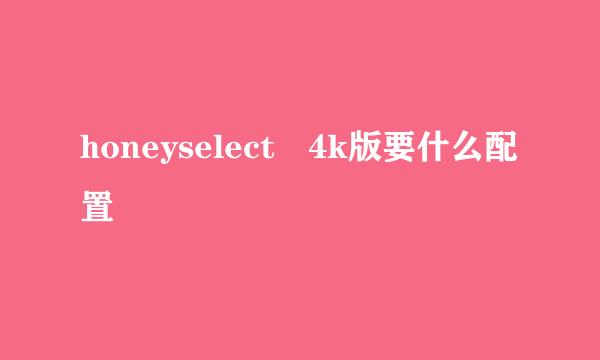 honeyselect 4k版要什么配置