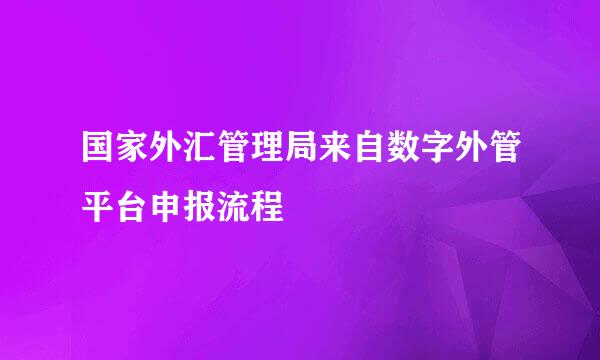 国家外汇管理局来自数字外管平台申报流程