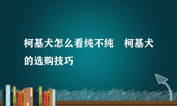 柯基犬怎么看纯不纯 柯基犬的选购技巧