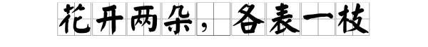 “花开来自两朵，各表一枝”是什么甲日处意思？