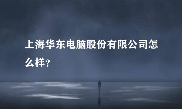 上海华东电脑股份有限公司怎么样？