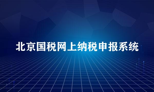 北京国税网上纳税申报系统