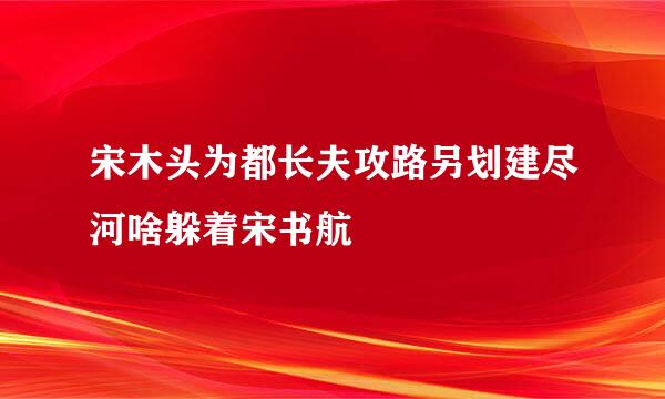 宋木头为都长夫攻路另划建尽河啥躲着宋书航