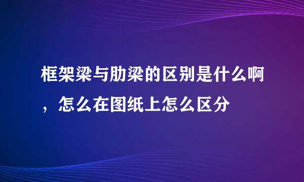 框架梁与肋梁的区别是什么啊，怎么在图纸上怎么区分