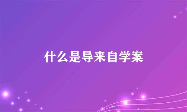 什么是导来自学案