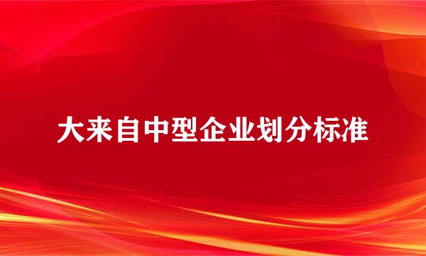 大来自中型企业划分标准