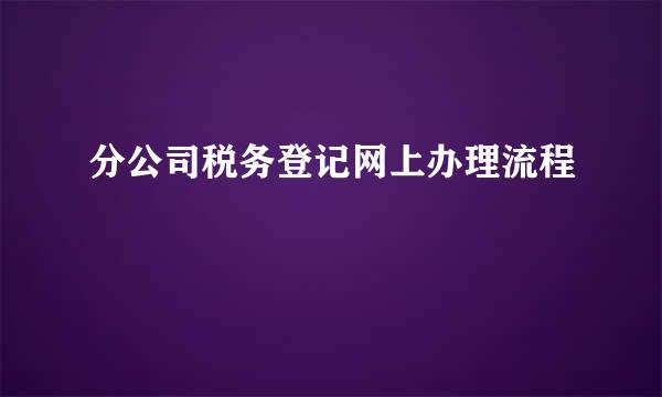 分公司税务登记网上办理流程