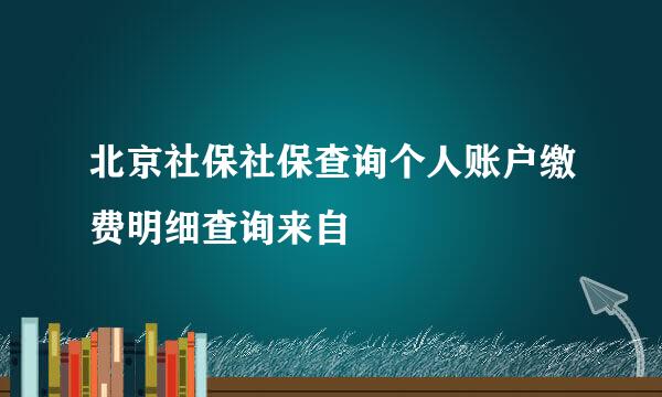 北京社保社保查询个人账户缴费明细查询来自