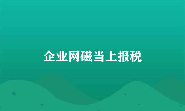 企业网磁当上报税