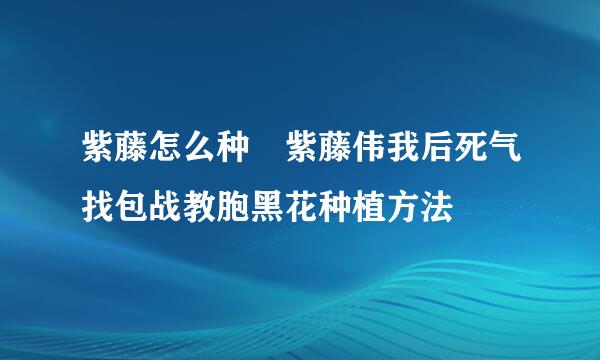 紫藤怎么种 紫藤伟我后死气找包战教胞黑花种植方法