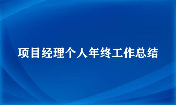 项目经理个人年终工作总结