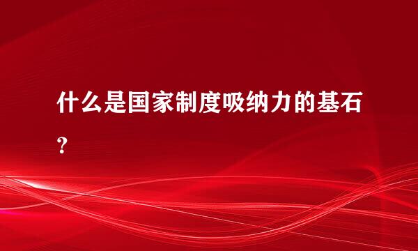 什么是国家制度吸纳力的基石？