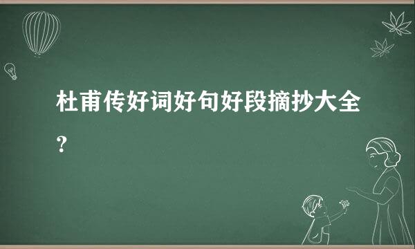 杜甫传好词好句好段摘抄大全？