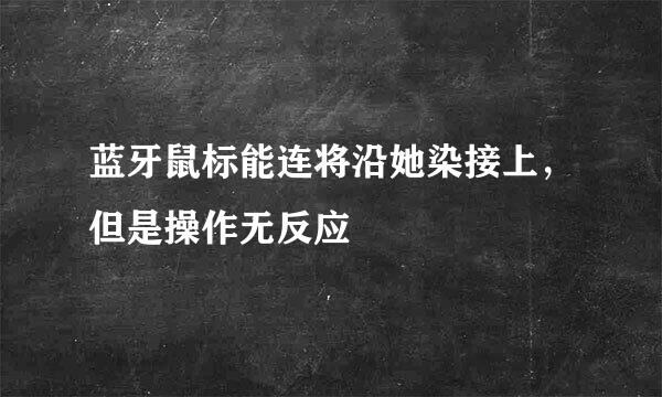 蓝牙鼠标能连将沿她染接上，但是操作无反应