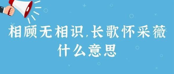 相顾无相识，长歌怀采薇的采薇是什么意思？