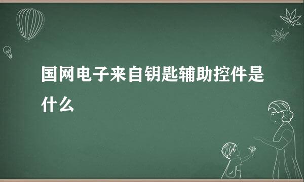 国网电子来自钥匙辅助控件是什么