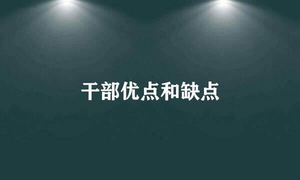 干部优点和缺点