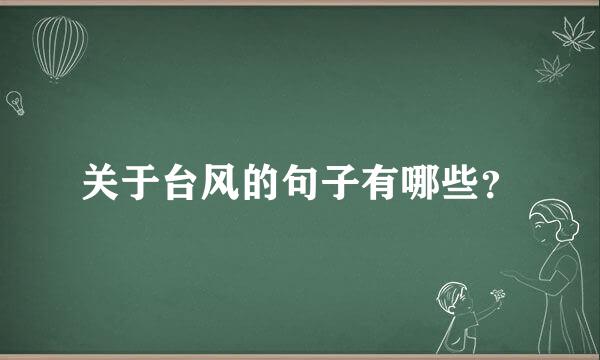 关于台风的句子有哪些？