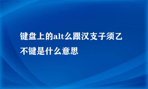 键盘上的alt么跟汉支子须乙不键是什么意思