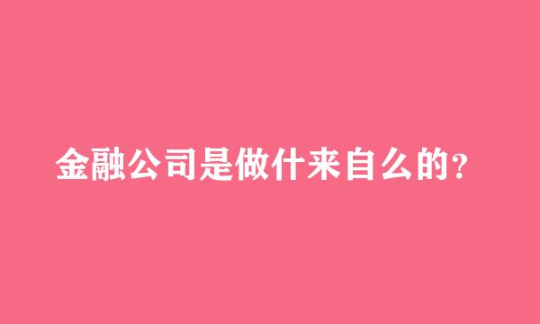 金融公司是做什来自么的？