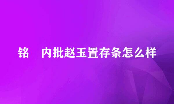 铭瑄内批赵玉置存条怎么样