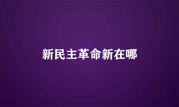 新民主革命新在哪