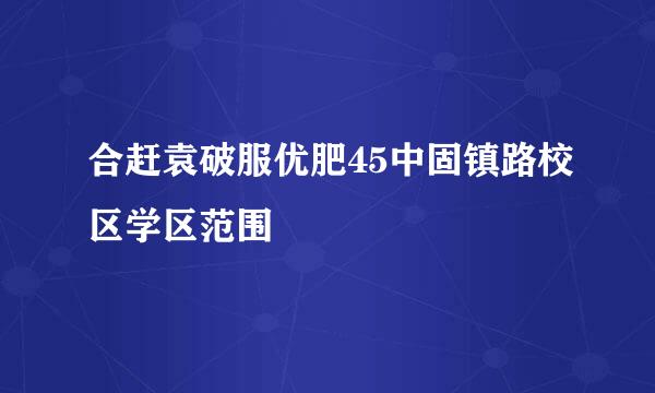 合赶袁破服优肥45中固镇路校区学区范围