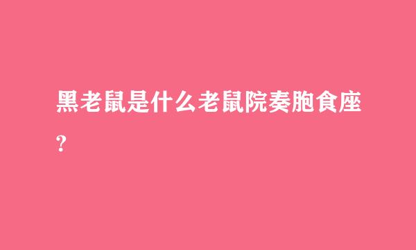 黑老鼠是什么老鼠院奏胞食座?