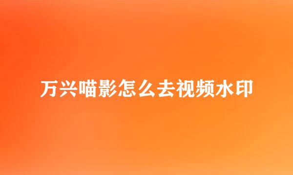 万兴喵影怎么去视频水印