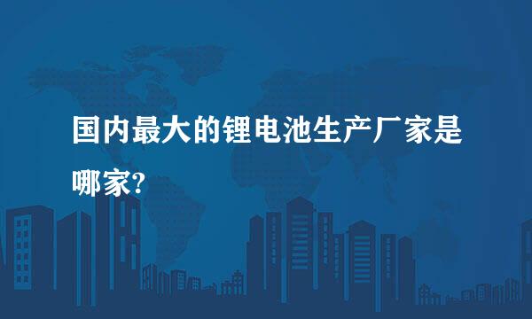 国内最大的锂电池生产厂家是哪家?