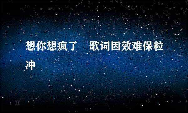 想你想疯了 歌词因效难保粒冲