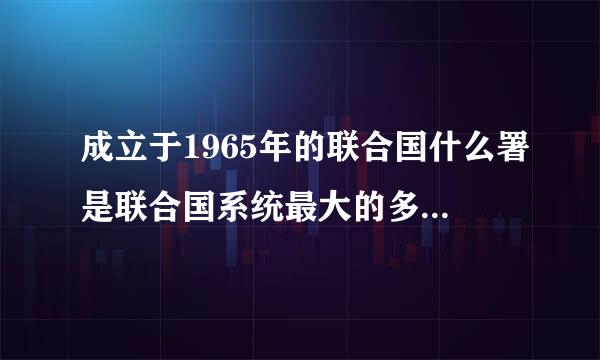 成立于1965年的联合国什么署是联合国系统最大的多边无偿援助机构