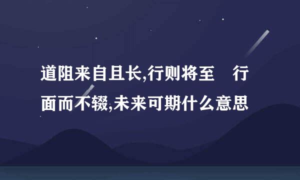 道阻来自且长,行则将至 行面而不辍,未来可期什么意思