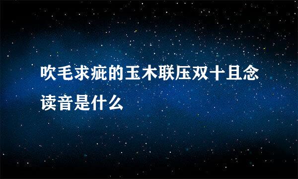 吹毛求疵的玉木联压双十且念读音是什么