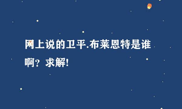 网上说的卫平.布莱恩特是谁啊？求解!