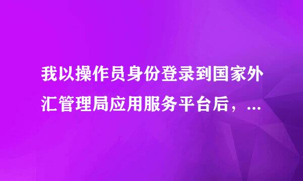 我以操作员身份登录到国家外汇管理局应用服务平台后，申报录入什么信息都没有