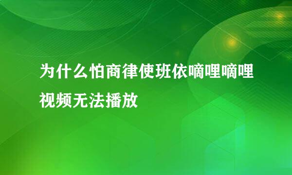 为什么怕商律使班依嘀哩嘀哩视频无法播放