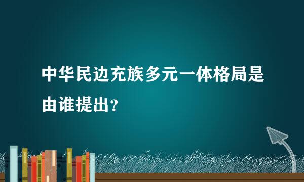 中华民边充族多元一体格局是由谁提出？