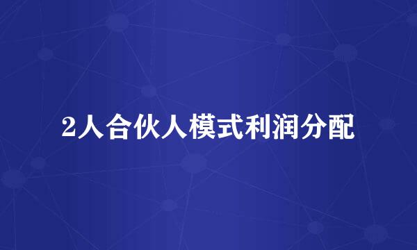 2人合伙人模式利润分配