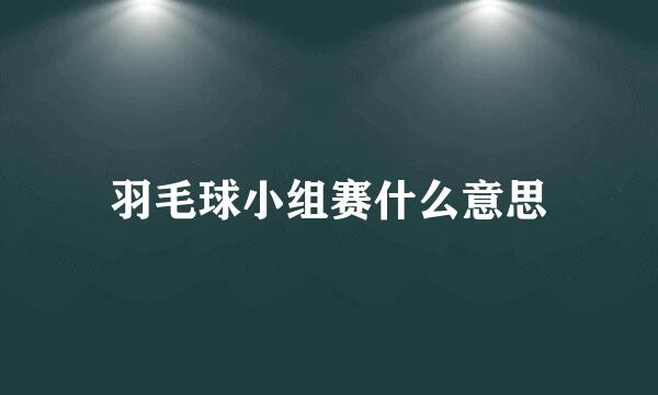 羽毛球小组赛什么意思